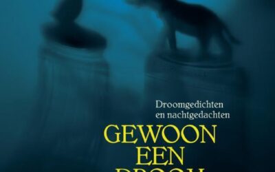 Over Gewoon een droom