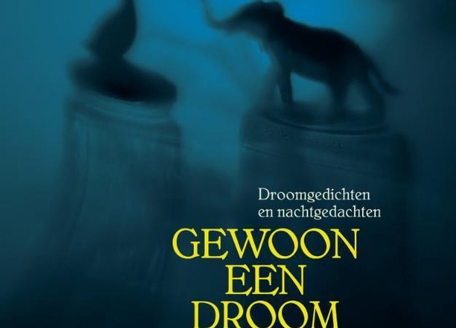 Gewoon een droom