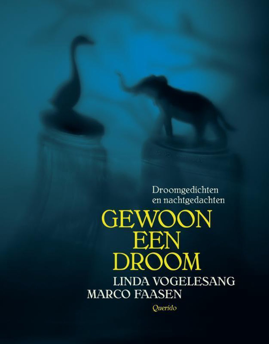 gewooneendroom