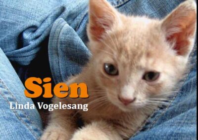 Sien